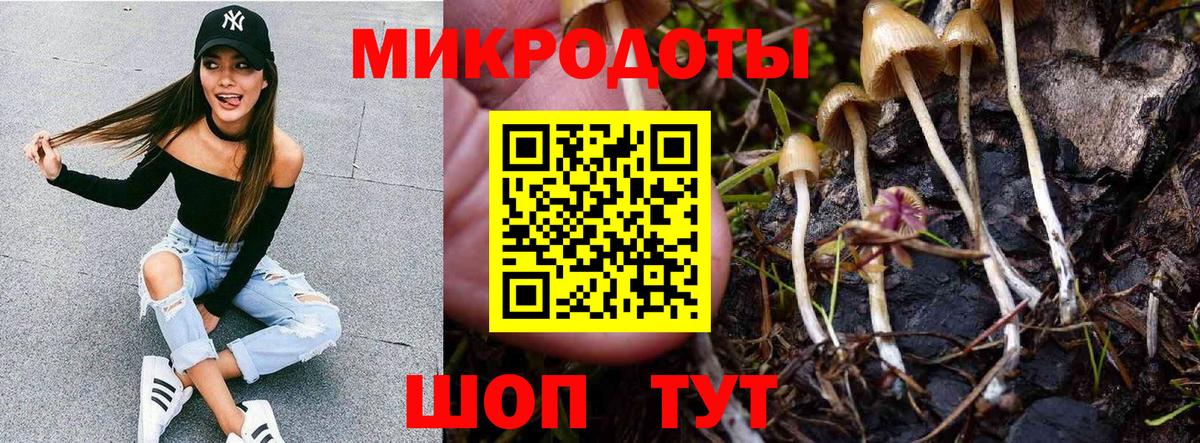 Псилоцибиновые грибы MAGIC MUSHROOMS Тихвин