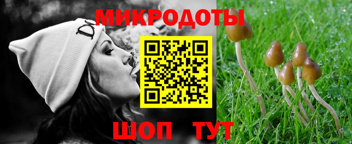 что такое   Вход с VPN  Тихвин  Псилоцибиновые грибы GOLDEN TEACHER 